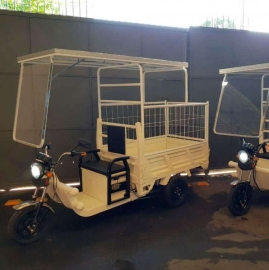 Triciclo de Carga Elétrico Cargo Basculante gaiola de lixo e painel solar carreta de lixo ou carrinho de lixeiro