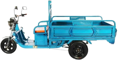 Triciclo de carga elétrico Super Cargo Basculante