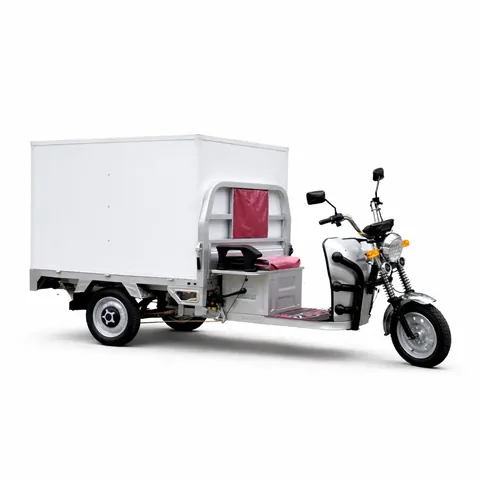 Triciclo de Carga Elétrico