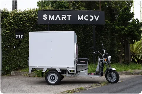 Triciclo Elétrico de Carga