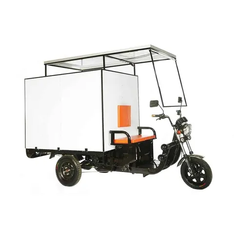 Triciclo de carga elétrico super cargo